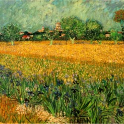 View of Arles with Irises in the Foreground by Van Gogh